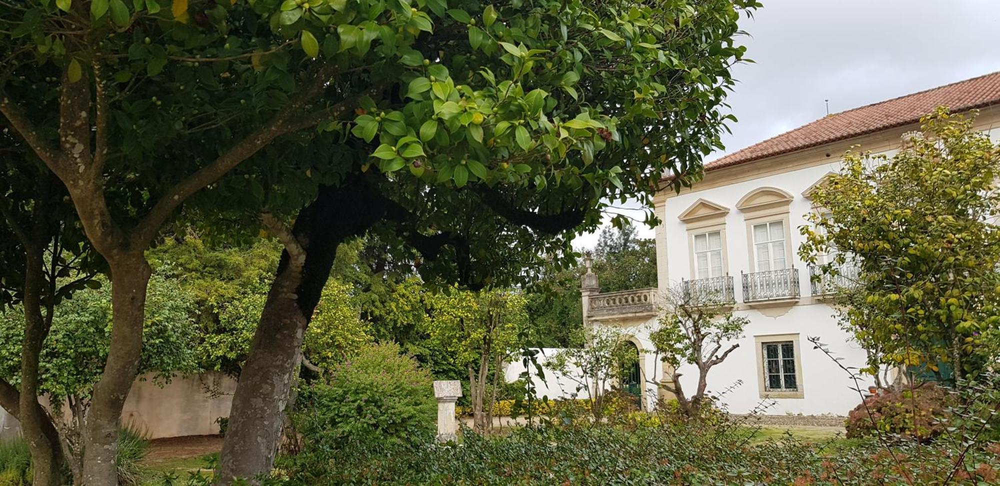 Palacio Da Portela III Coimbra Luaran gambar